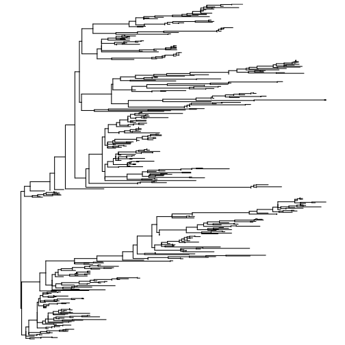 plot of chunk unnamed-chunk-46