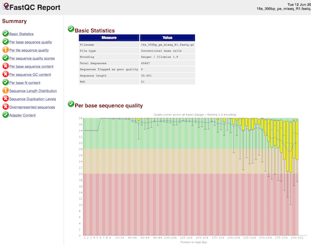 FastQC Report
