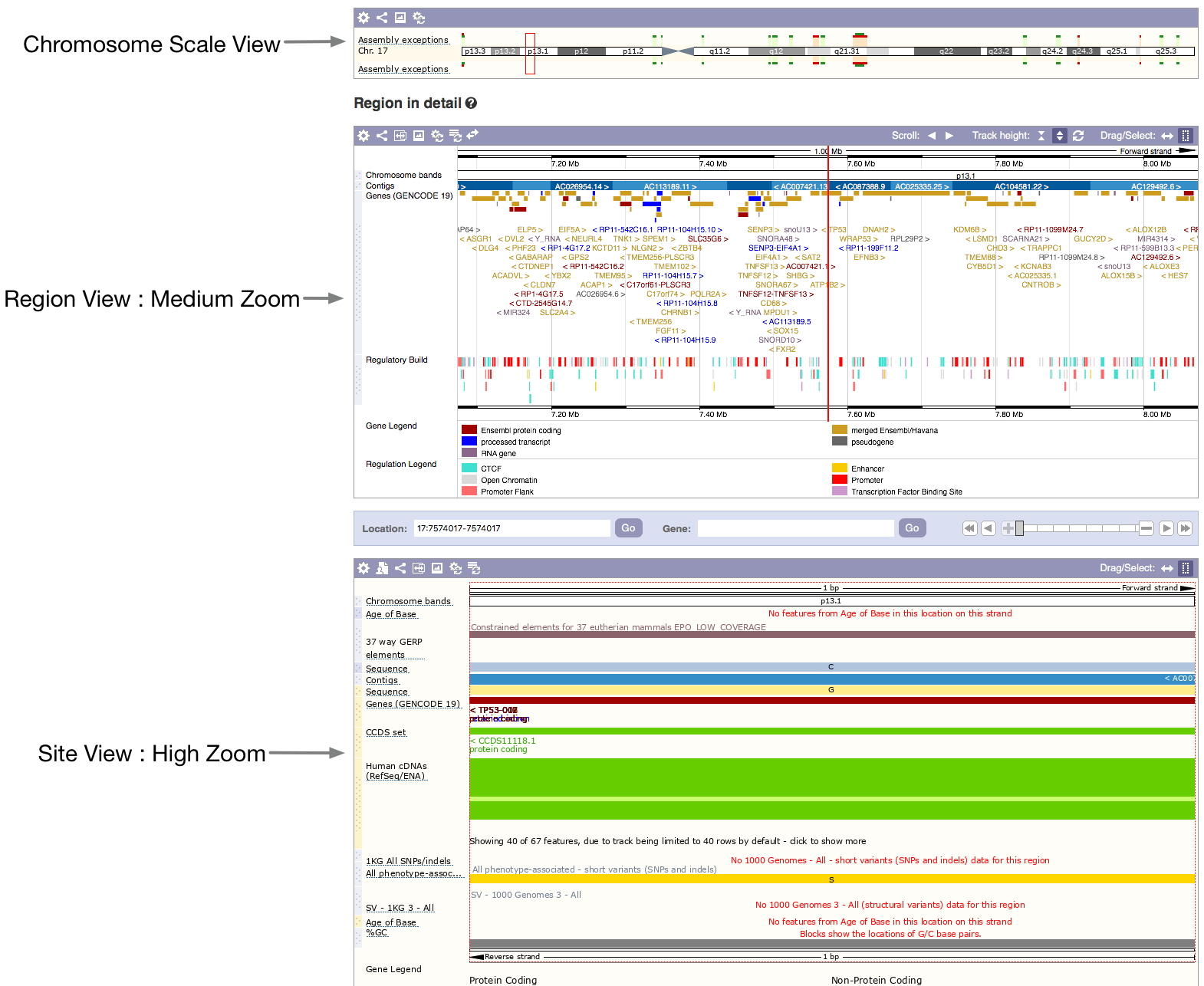 Ensembl 2nd Screen