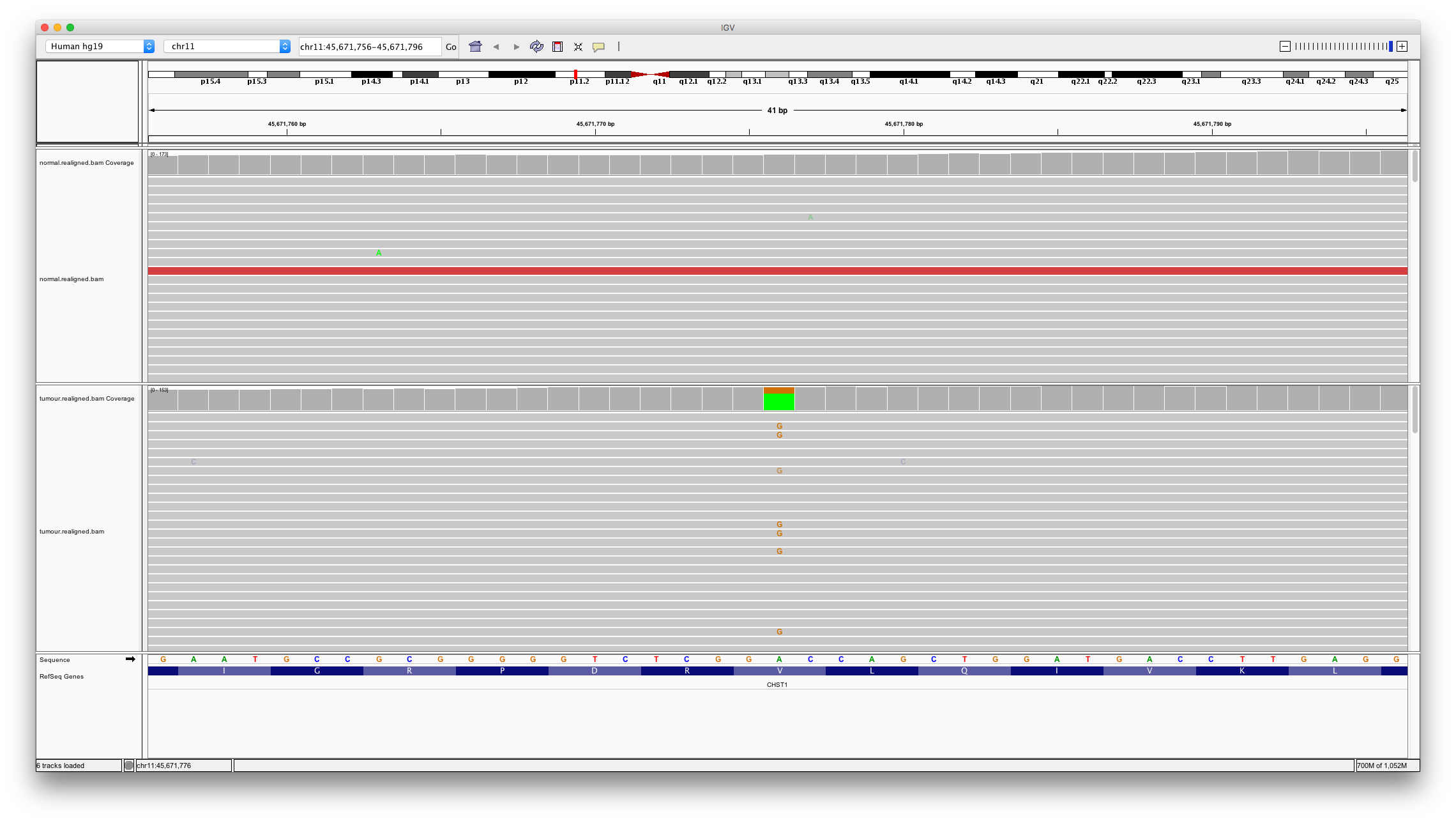 IGV Shared Variant