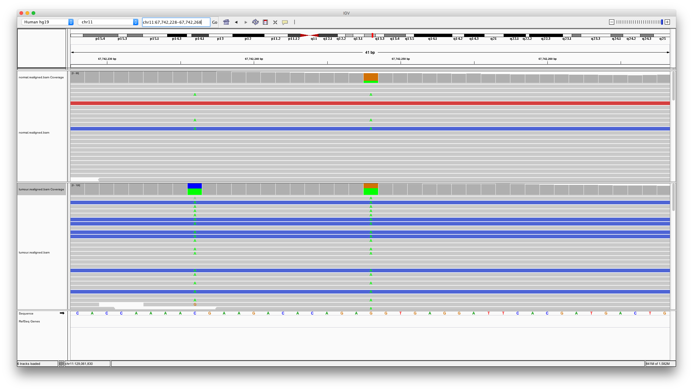 IGV Varscan only variant